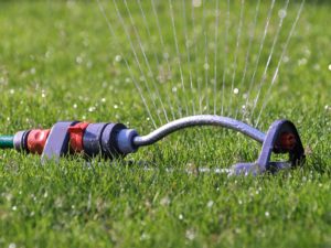 watering timer