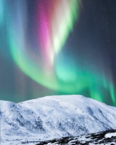 frozen jurk