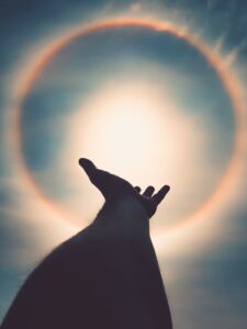 lamp op zonne-energie