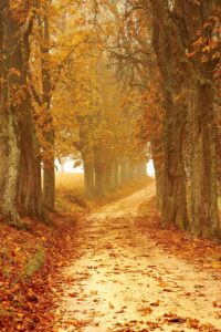 herfstbroek