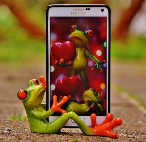 bloemen case