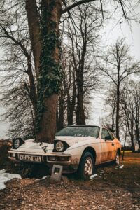 a tree growing out of an abandoned car